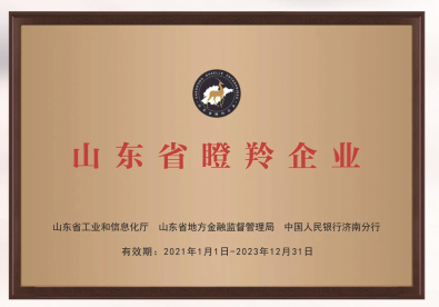 山东省瞪羚企业